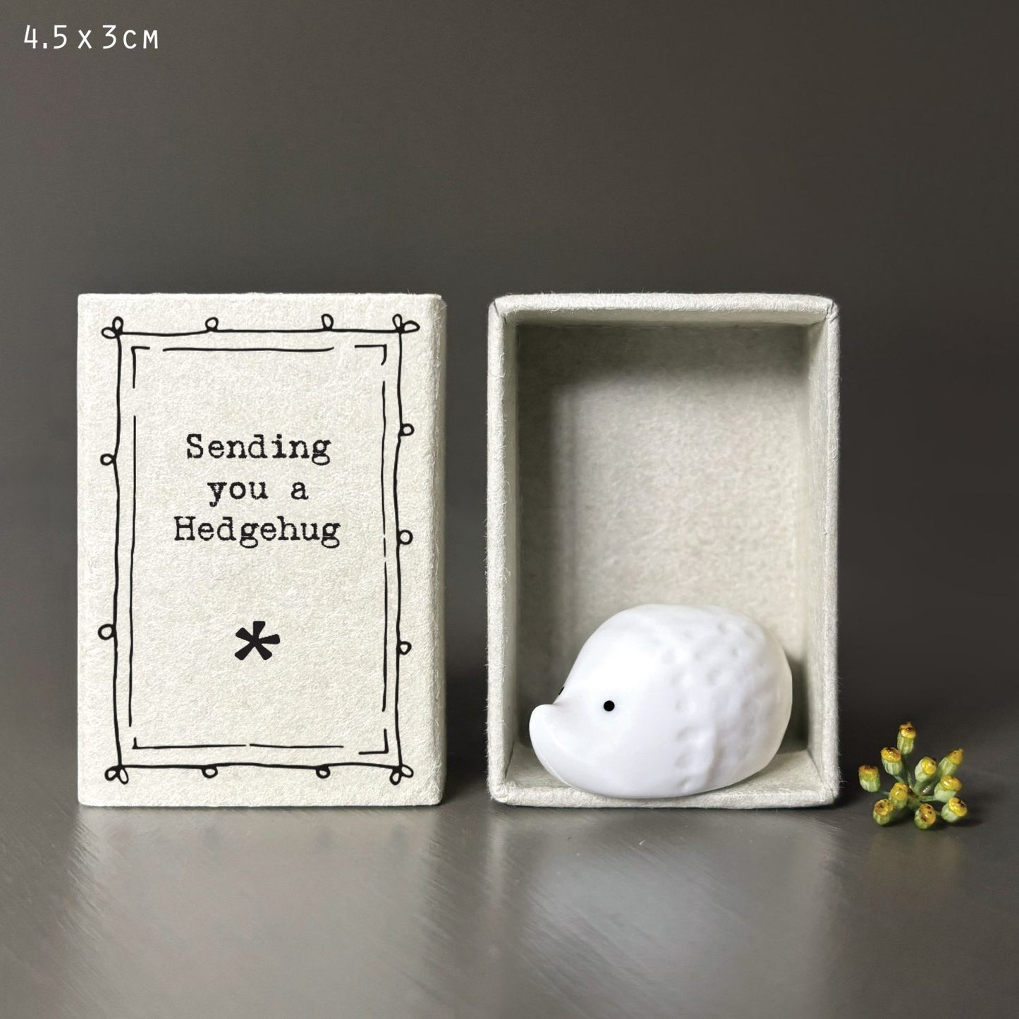 East of India 'Hedgehug' Matchbox Hedgehog