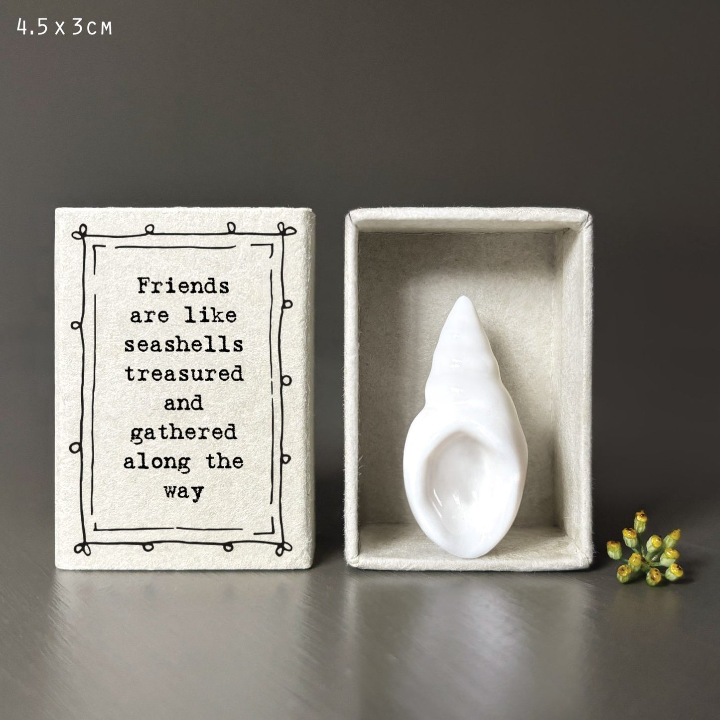 East of India 'Friends' Matchbox Shell