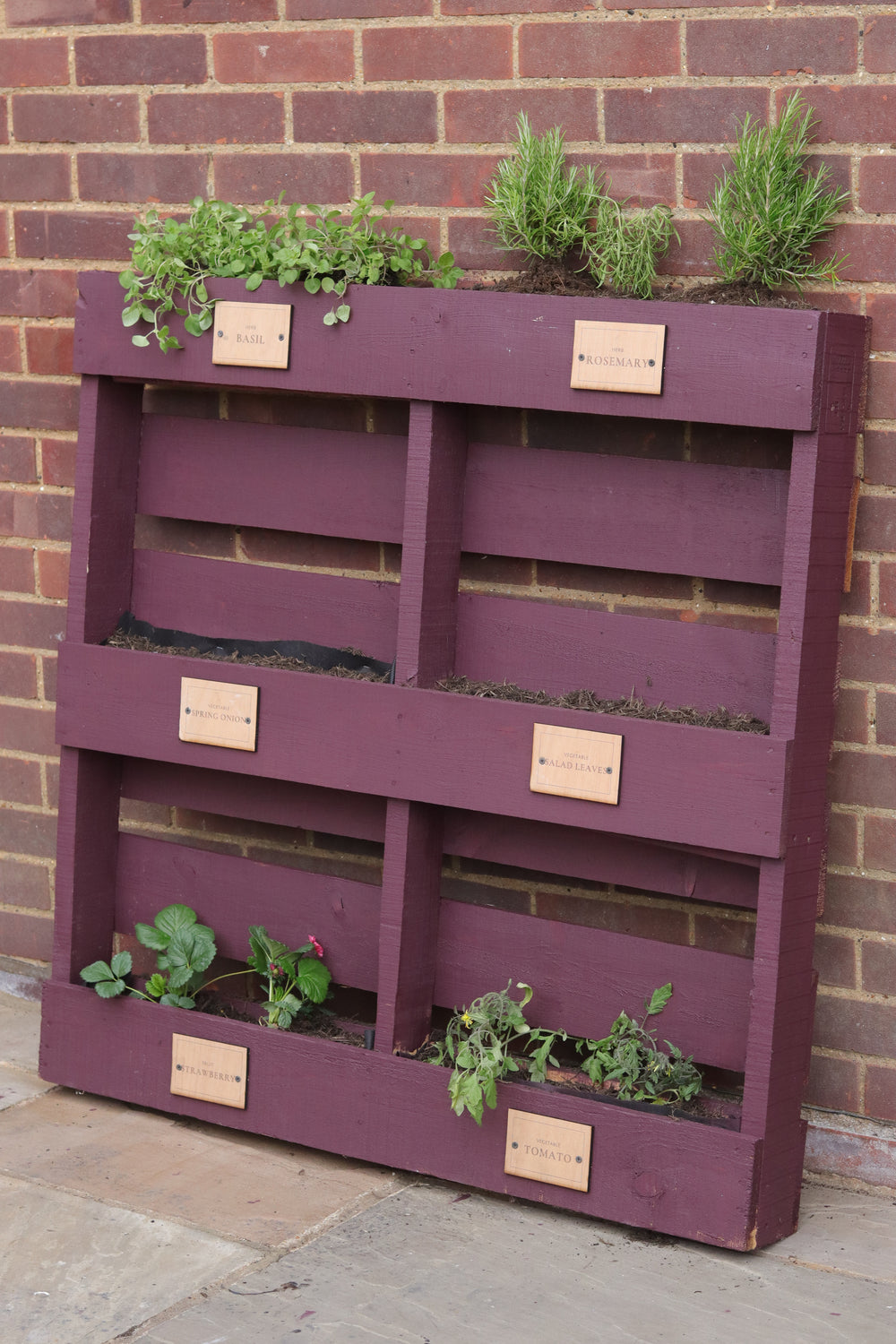 Boho Berry Al Fresco