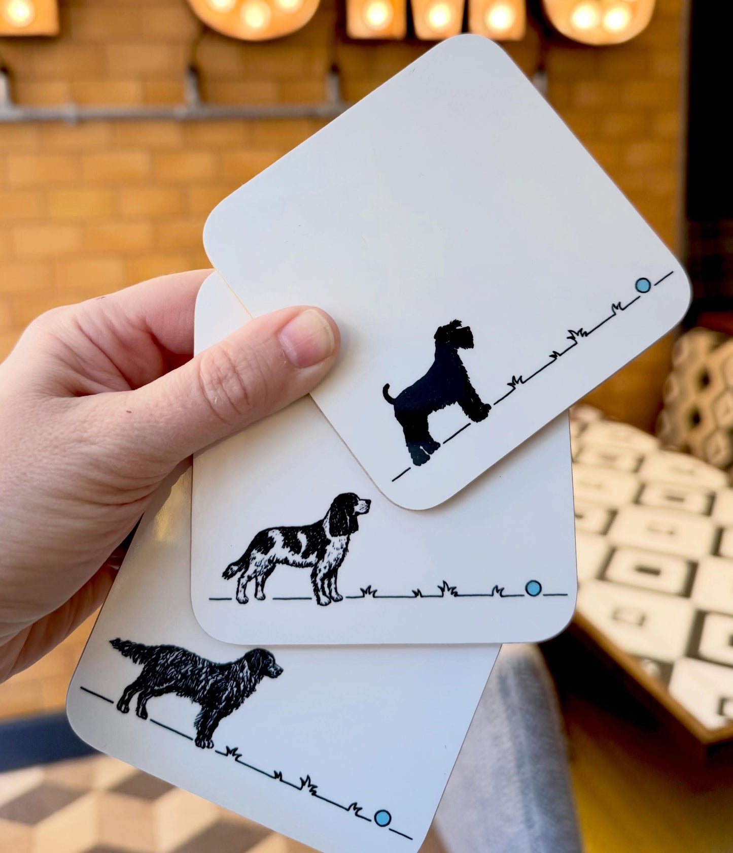 Springer Spaniel 'Go fetch...' Coaster