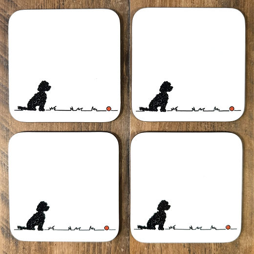 Cockapoo/Cavapoo 'Go fetch...'