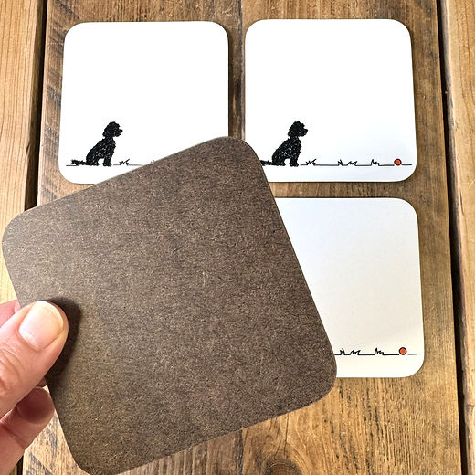 Cockapoo/Cavapoo 'Go fetch...'