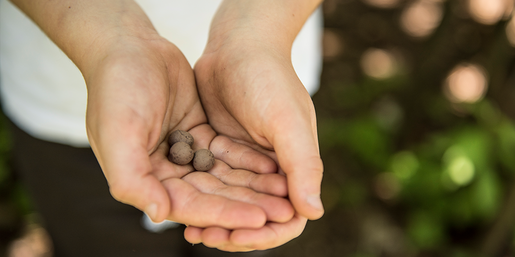 Make Your Own Kit – 50 Wildflower Seed Balls