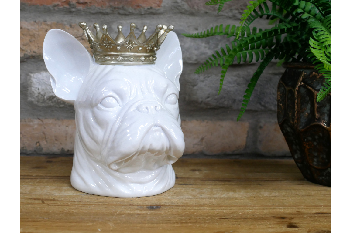 Frenchie With Crown