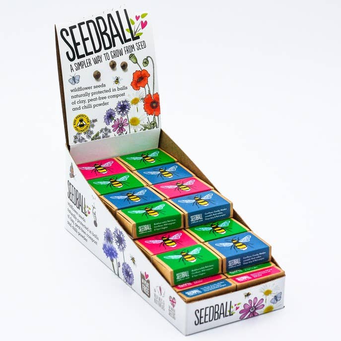 Seedball Boxes