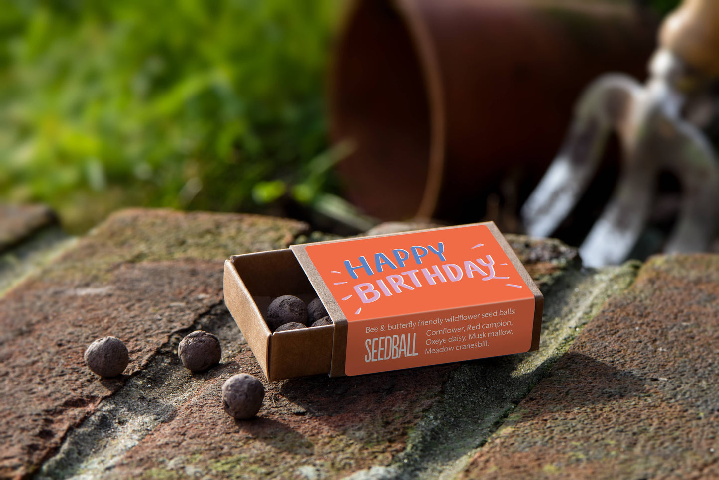 Seedball Boxes
