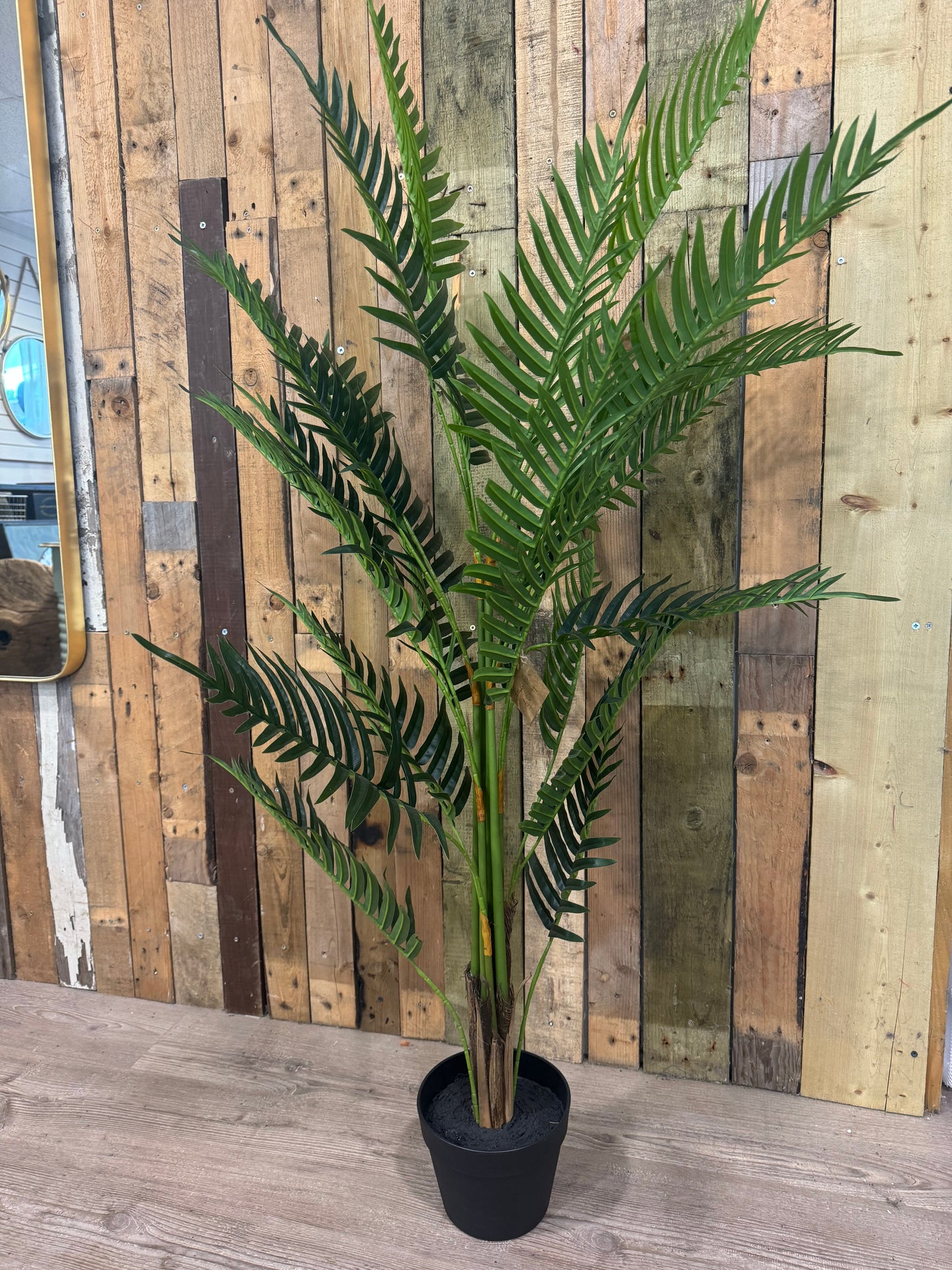 ARTIFICIAL FERN PLANT IN A BLACK POT - 130 X 55 CM