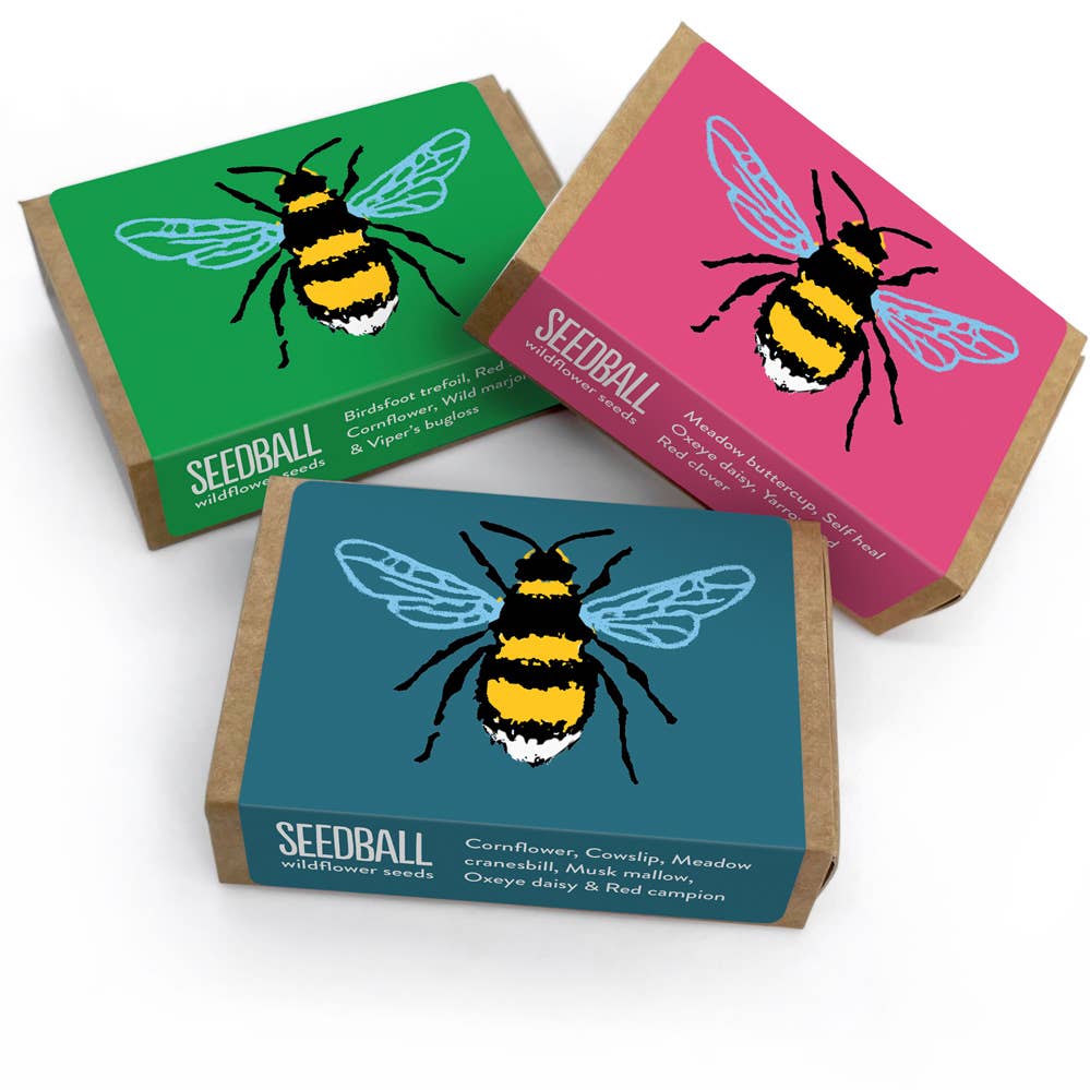 Seedball Boxes
