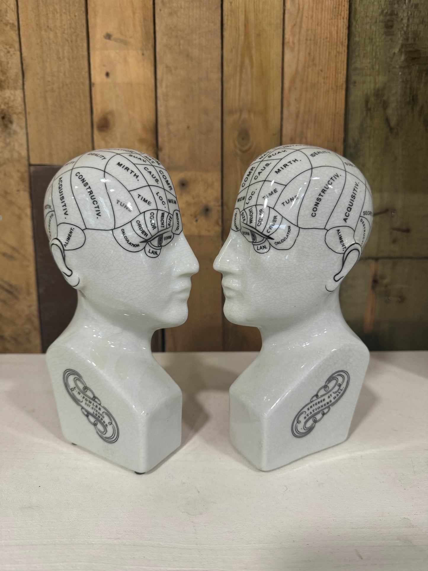 Ceramic Phrenology Head Bookends