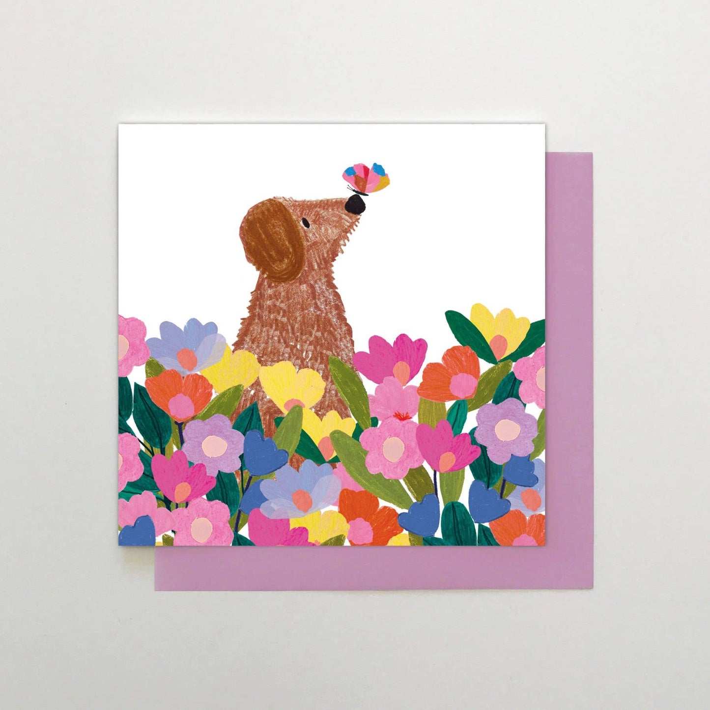 Dog with Butterfly