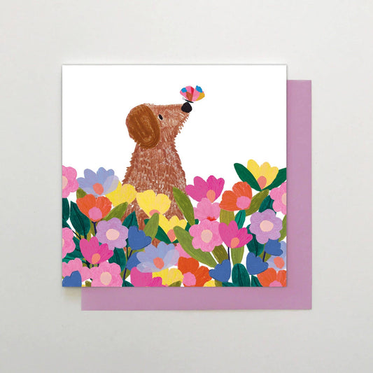 Dog with Butterfly