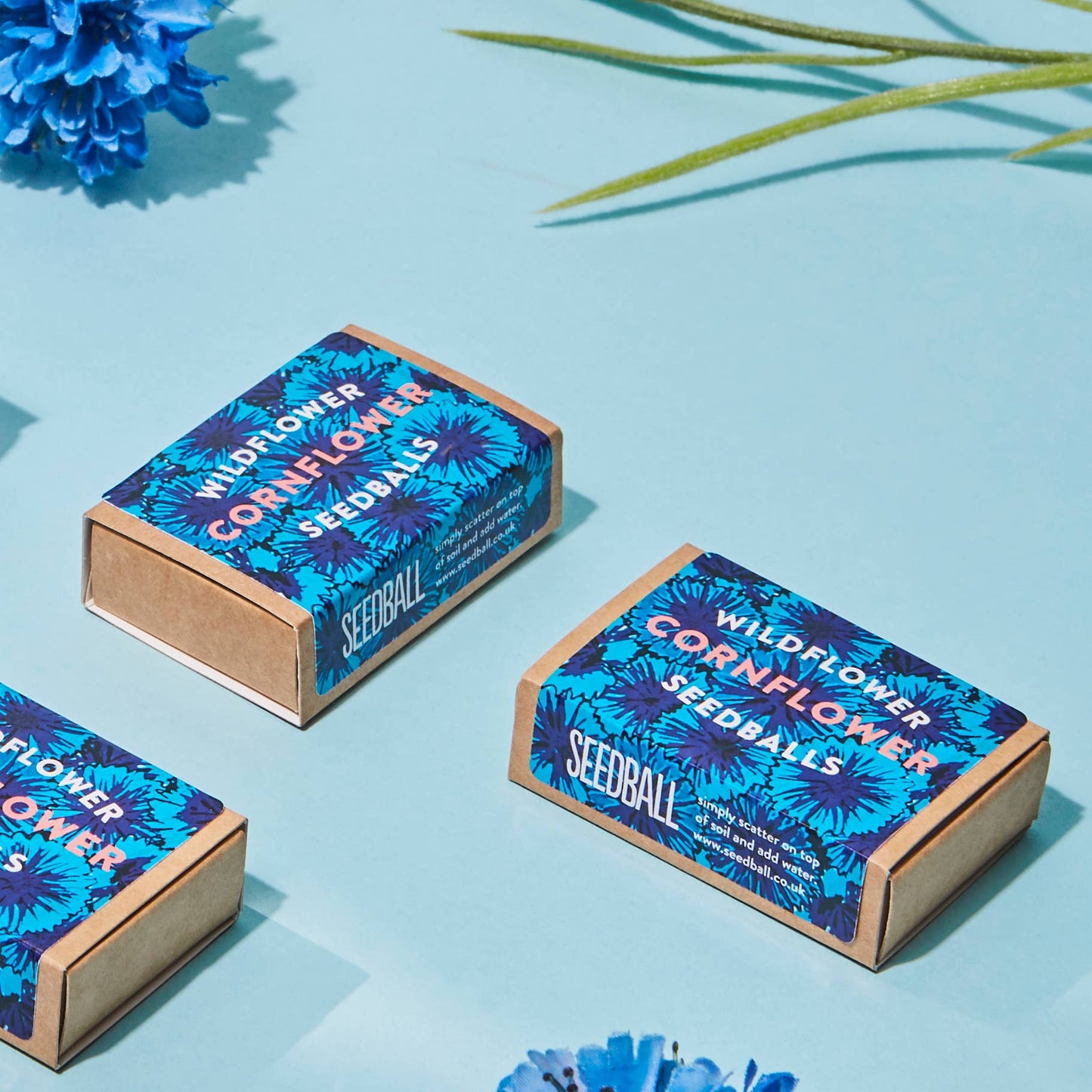 Seedball Boxes
