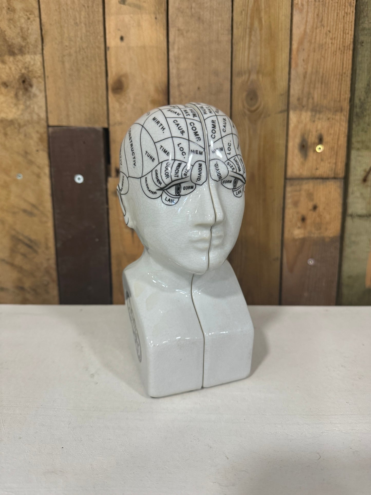 Ceramic Phrenology Head Bookends