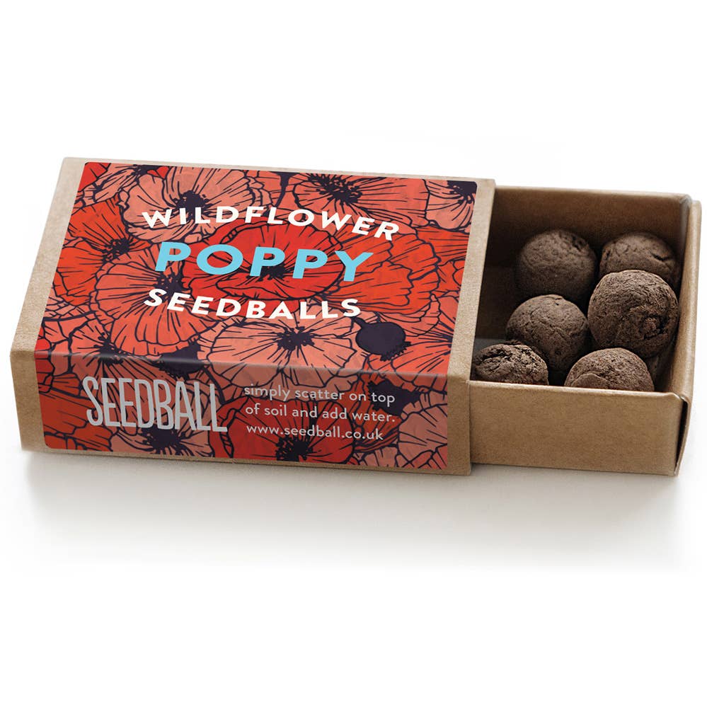 Seedball Boxes