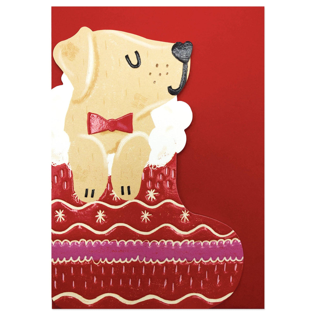 Dog in stocking