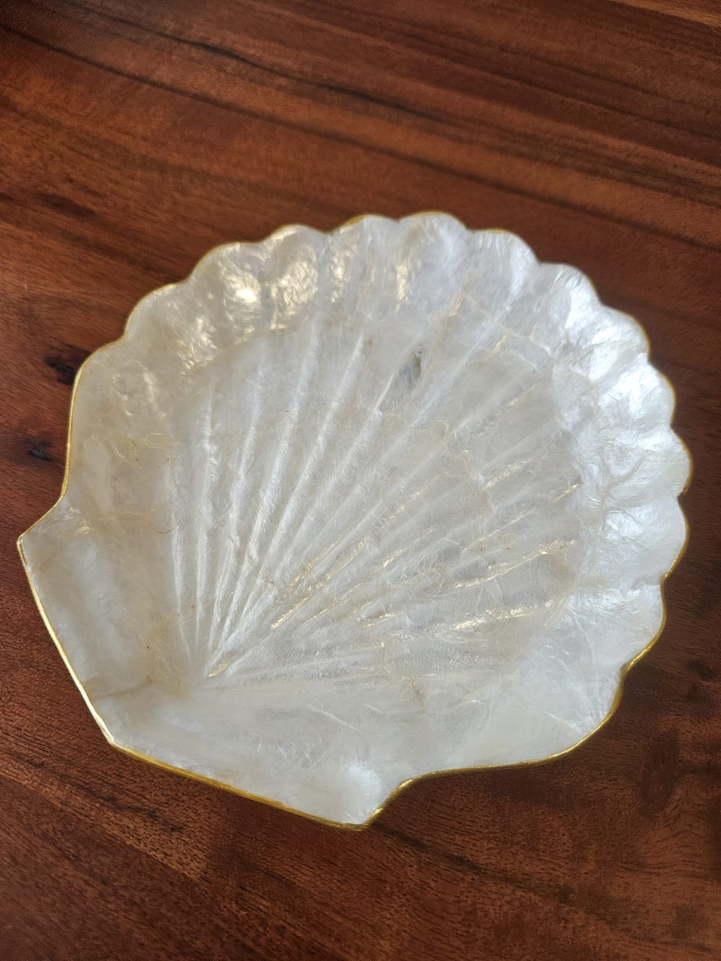 Shell Jewellery Dish / Tray