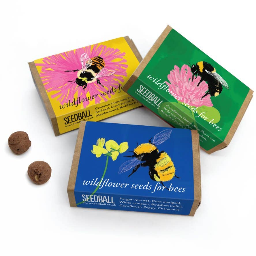 Seedball Boxes