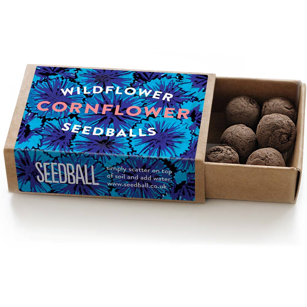 Seedball Boxes