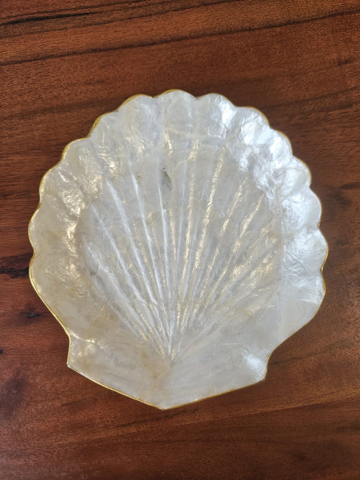 Shell Jewellery Dish / Tray