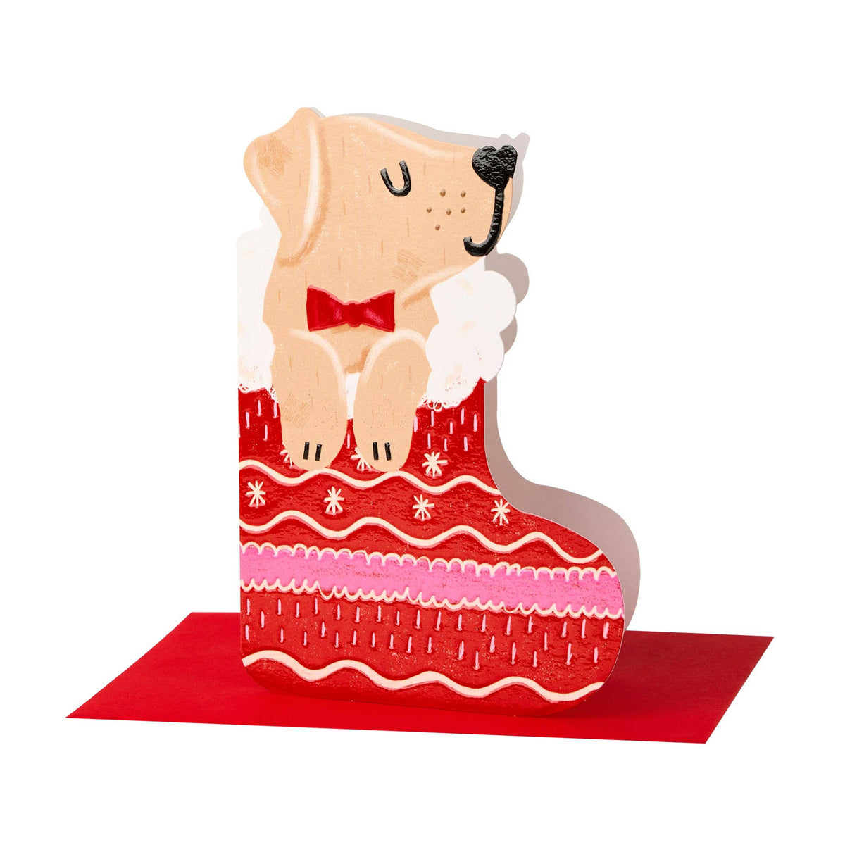 Dog in stocking