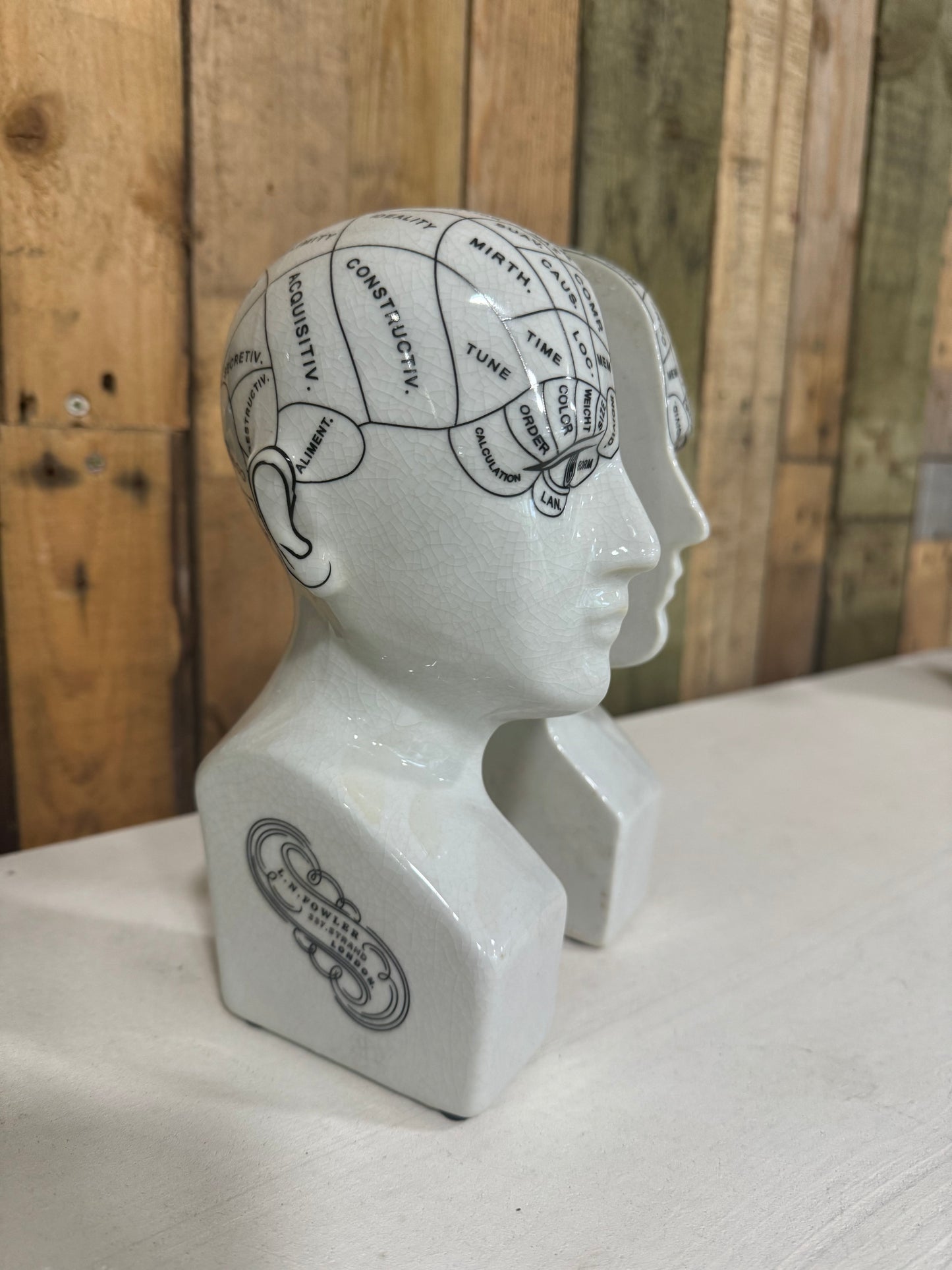 Ceramic Phrenology Head Bookends