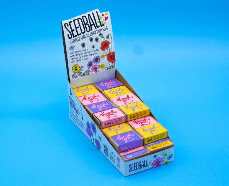 Seedball Boxes