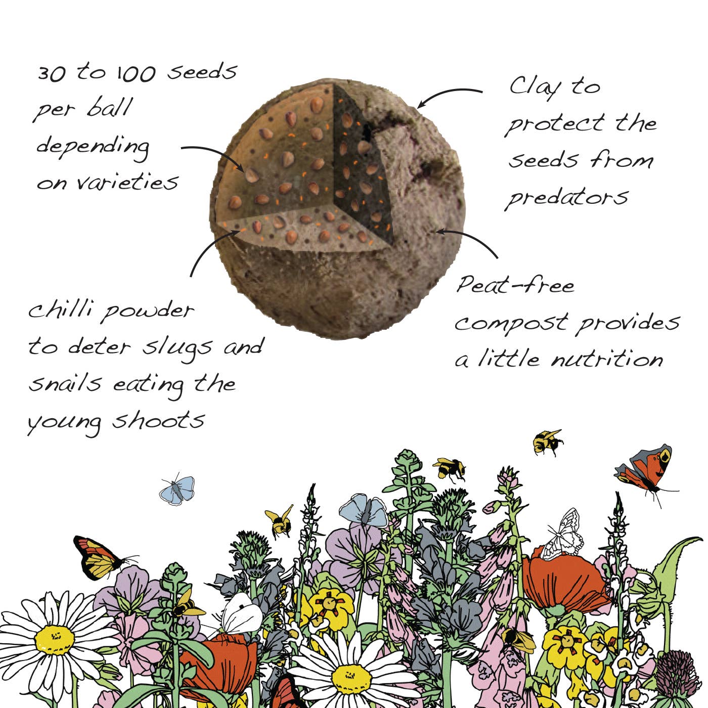 Seedball Boxes