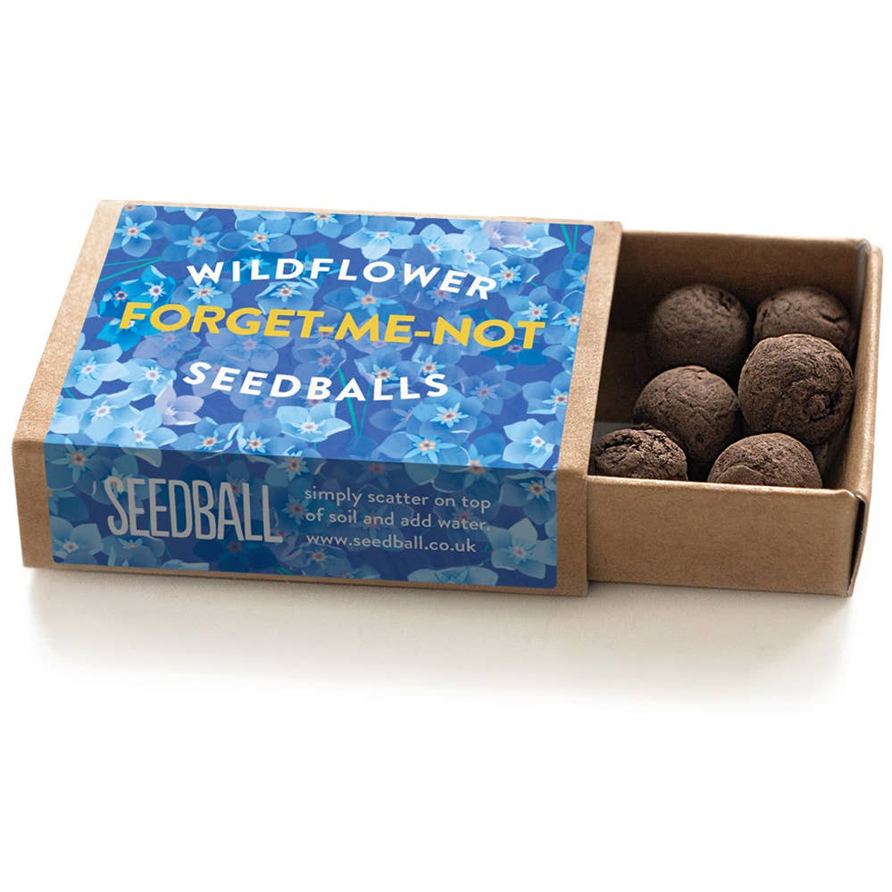 Seedball Boxes