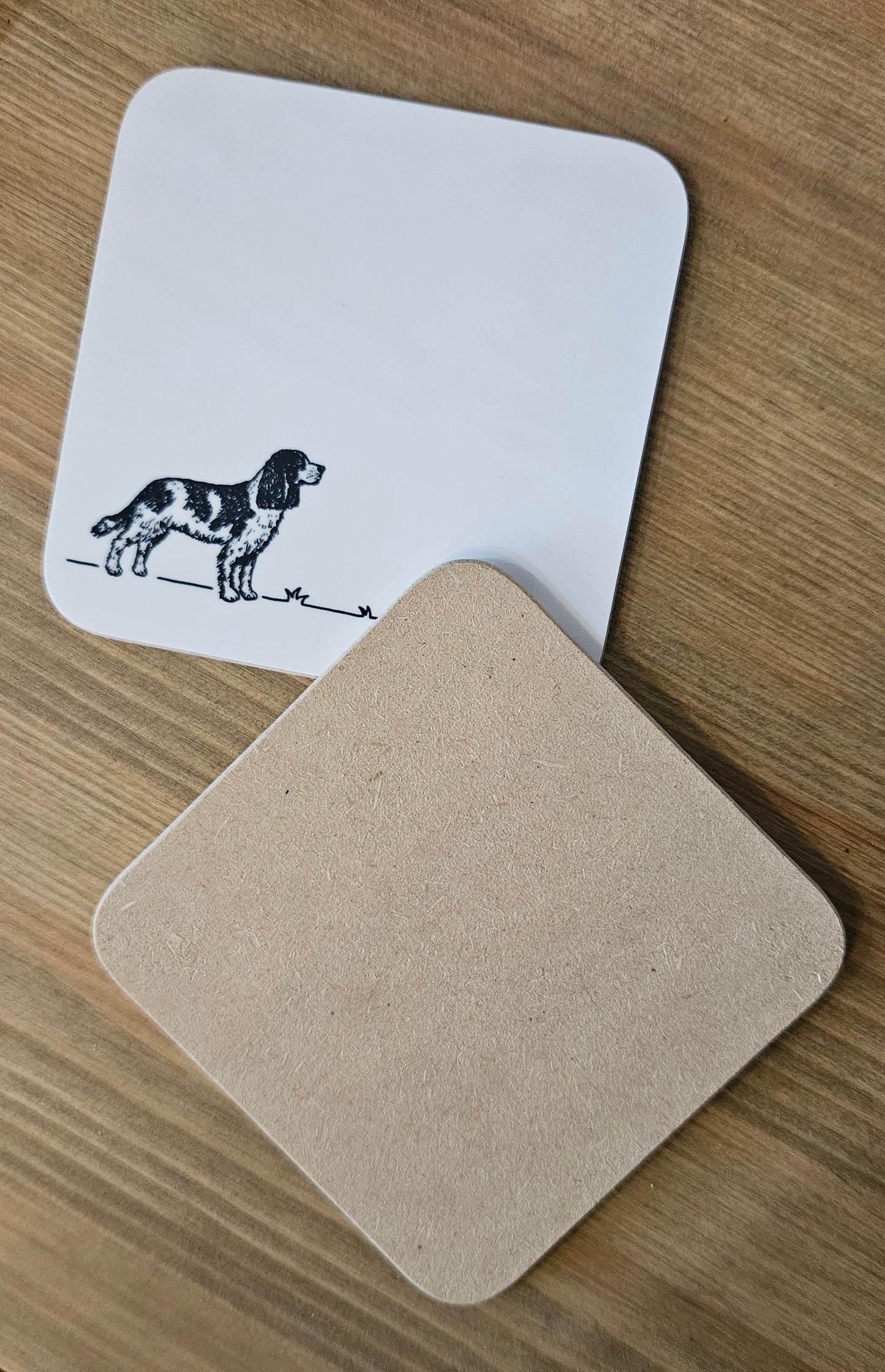 Springer Spaniel 'Go fetch...' Coaster