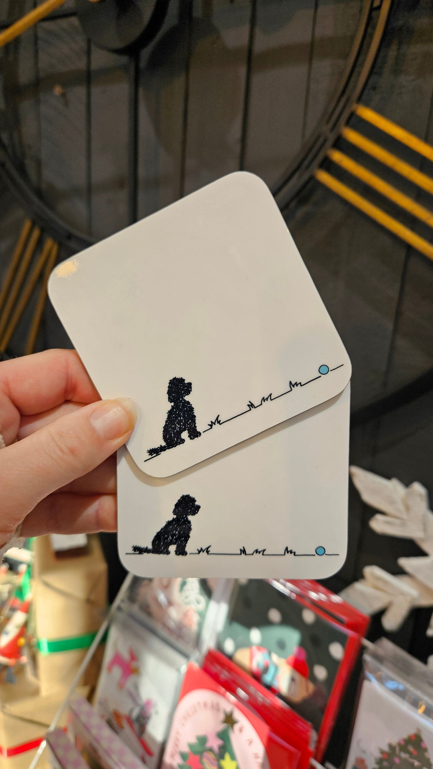 Cockapoo/Cavapoo 'Go fetch...'