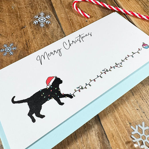 Cat Christmas Cards - Pack of 8
