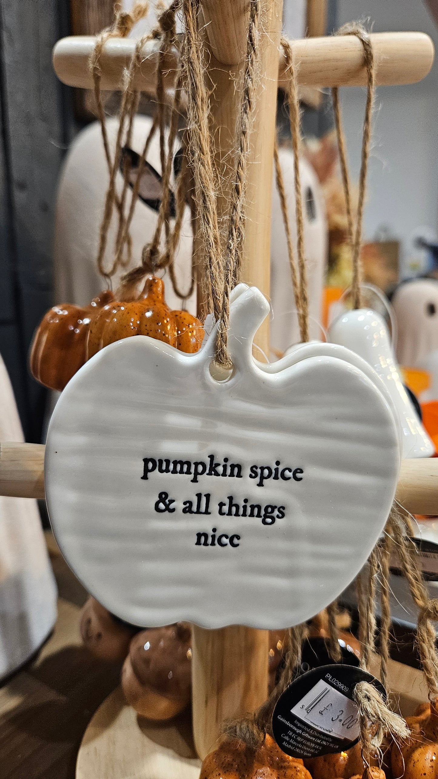 Pumpkin spice & all things nice hanging decoration