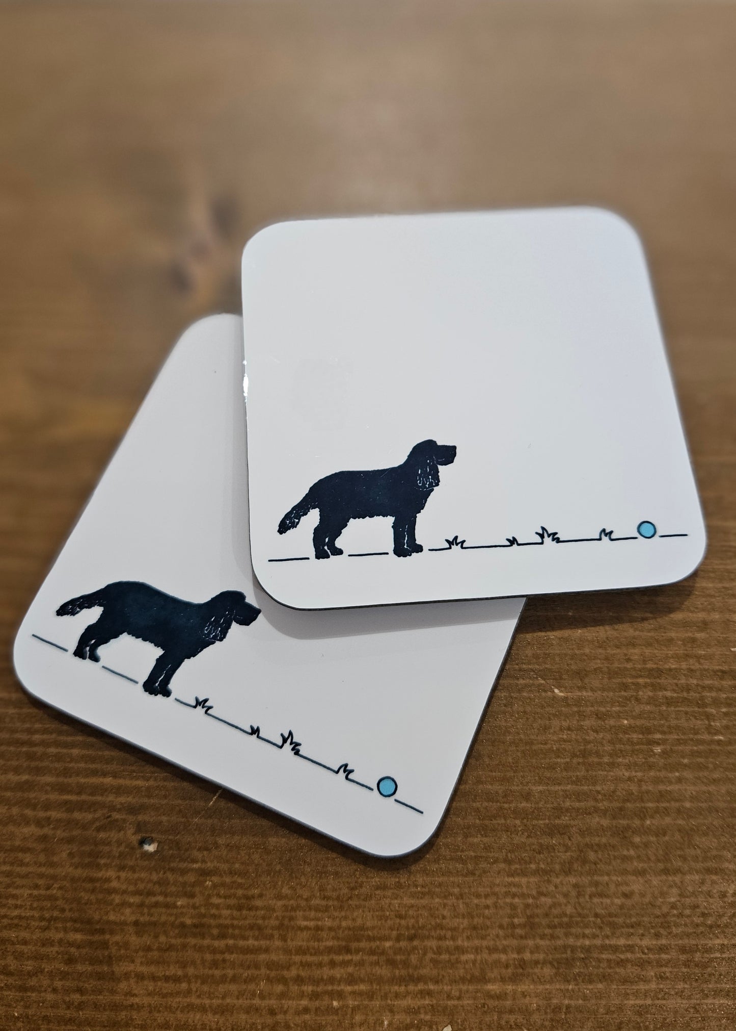 Cocker Spaniel 'Go fetch...'