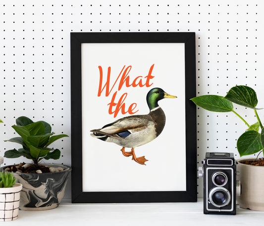 What the - A4 Poster