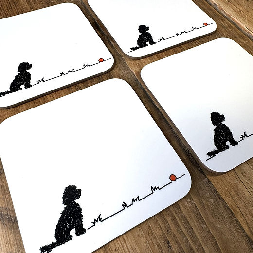 Cockapoo/Cavapoo 'Go fetch...'