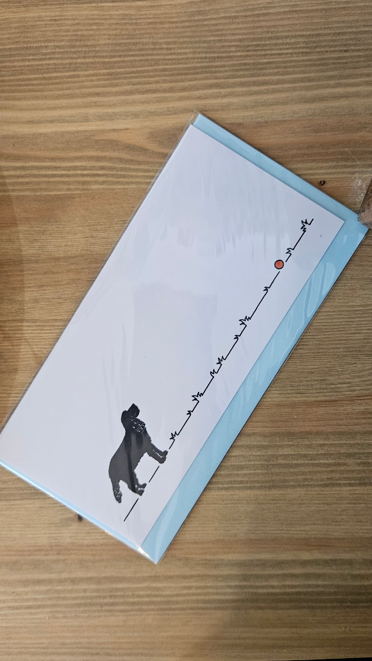 Spaniel 'Go Fetch...' greeting card
