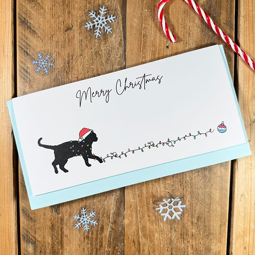 Cat Christmas Cards - Pack of 8