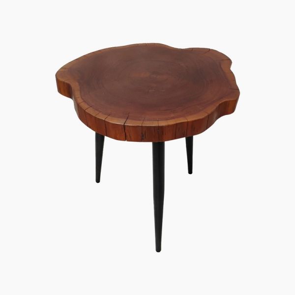 Noir Natural Babool Wood End Table