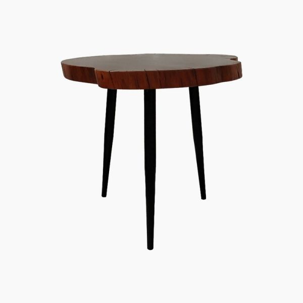 Noir Natural Babool Wood End Table